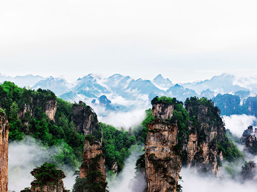 A1線：張家(jiā)界國(guó)家(jiā)森(sēn)林(lín)公園2天1晚經典遊