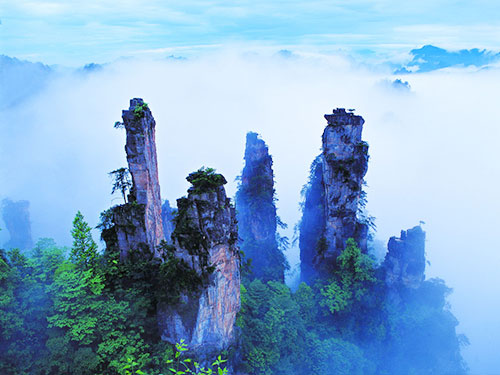 森(sēn)林(lín)公園