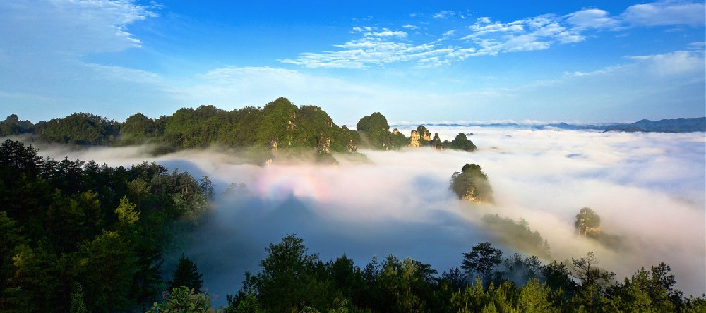 少(shǎo)林(lín)龍門(mén)洛陽牡丹 雲台山(shān)2日(rì)（龍門(mén)石窟少(shǎo)林(lín)寺雲台山(shān)二日(rì)遊）