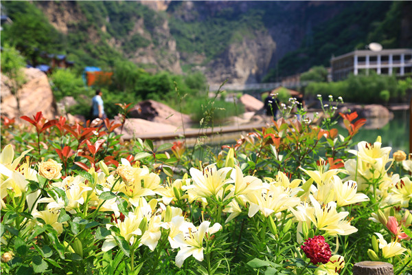 【新鄉(xiāng)】關山(shān)地(dì)質公園一(yī)日(rì)遊（新鄉(xiāng)關山(shān)景區(qū)的(de)圖片欣賞）