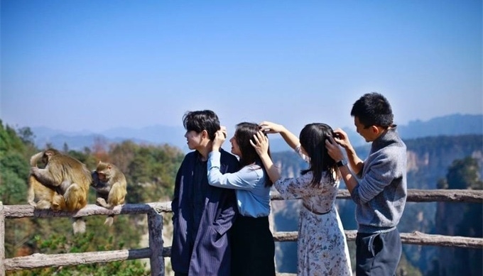 A3:張家(jiā)界國(guó)家(jiā)森(sēn)林(lín)公園+黃(huáng)龍洞2天1晚