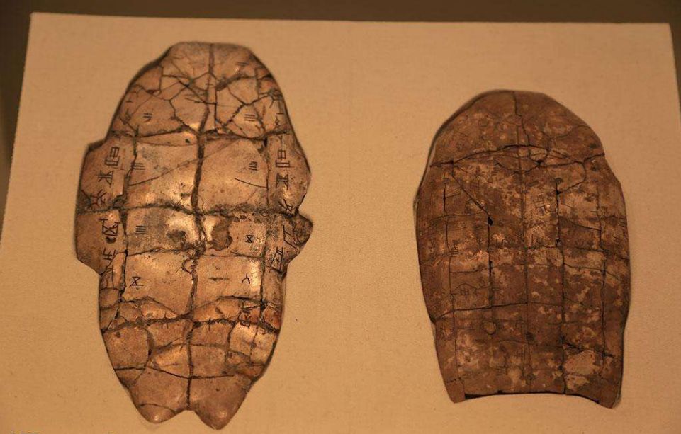 1730347521539528.jpg d4eaa87f73795034212737d6a6da364.jpg