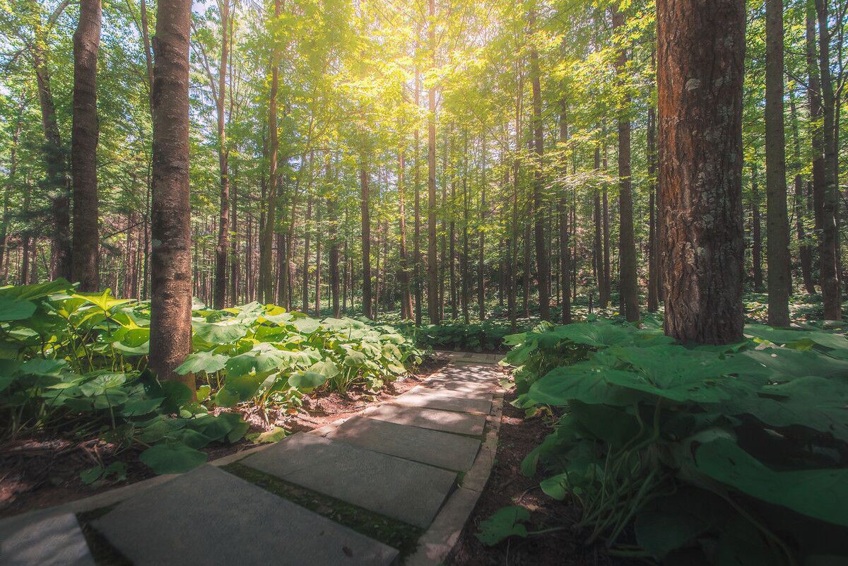 1750921481183243.jpg QQ圖片20200619113528.jpg