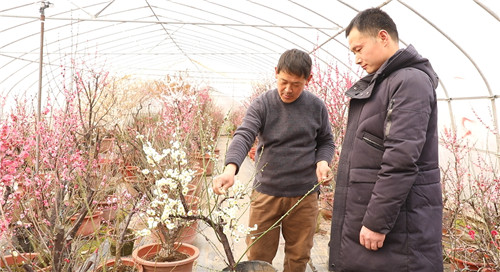 盧氏：農(nóng)旅融合，賦能(néng)鄉(xiāng)村(cūn)振興（盧氏縣旅遊資源）