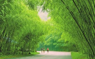 暢遊春天裡(lǐ)踏青重渡溝（踏青遊玩(wán)的(de)感悟）