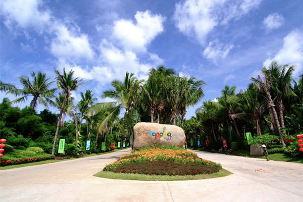 呀諾達、蜈支洲島、南(nán)山(shān)佛教文(wén)化(huà)苑、天涯海(hǎi)角、南(nán)灣猴島、亞龍灣三亞往返海(hǎi)南(nán)親海(hǎi)無憂5日(rì)遊（南(nán)灣猴島距離(lí)三亞多(duō)遠(yuǎn)）