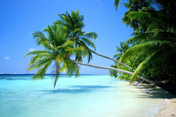 鄭州出發海(hǎi)南(nán)海(hǎi)口三亞分(fēn)界洲島、南(nán)灣猴島、大(dà)小(xiǎo)洞天、西(xī)島、椰田古寨５天４晚海(hǎi)口往返（南(nán)灣猴島在三亞哪個(gè)位置）