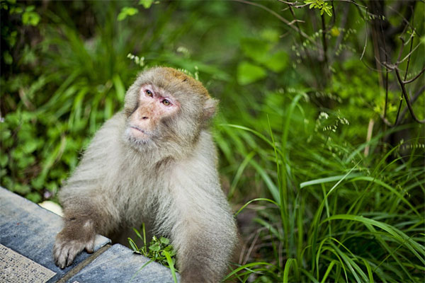 焦作(zuò)旅遊宗教與文(wén)化(huà)介紹（焦作(zuò)地(dì)域文(wén)化(huà)）