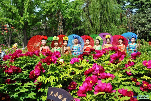 春風(fēng)又(yòu)綠(lǜ)王城(chéng)公園（春遊王城(chéng)公園）